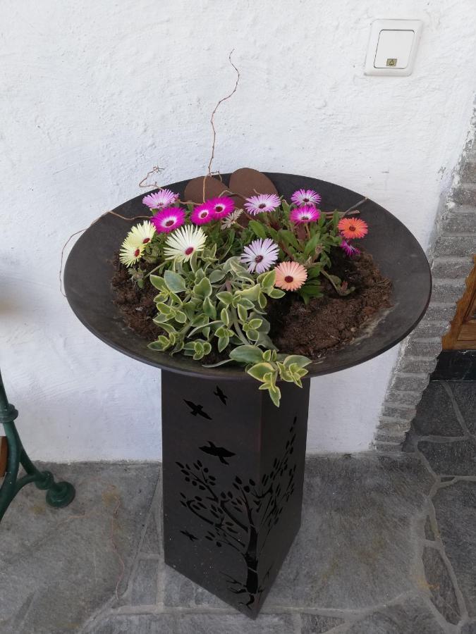 Fruehstueckspension Alpenrose Bed & Breakfast Iselsberg ภายนอก รูปภาพ
